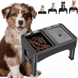 Miska dla psa na stojaku