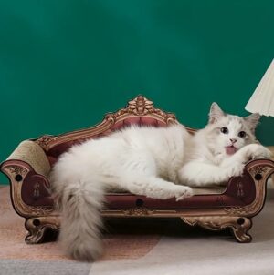 Drapak dla kota sofa